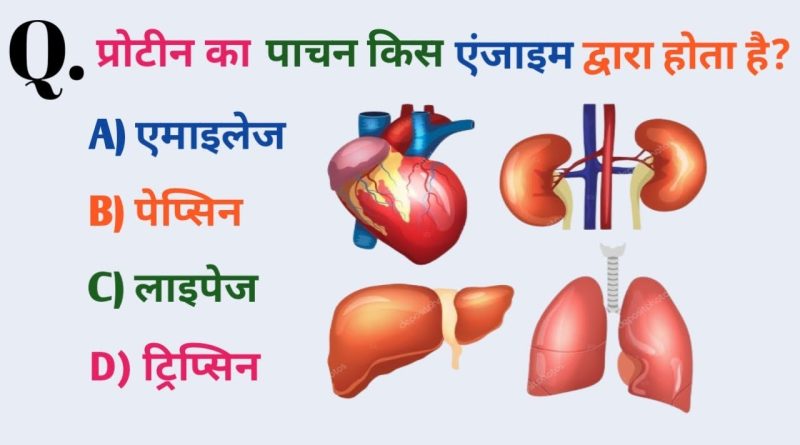 Top 20 Quiz de Culture Générale : Testez vos Connaissances !