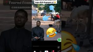 Top TikToks 2025 : Les incontournables à ne pas manquer !