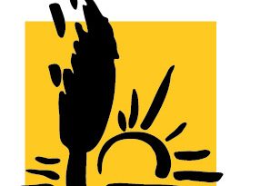 Trilogue sur les OGM-NTG : les préoccupations des paysan·nes ignorées