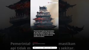 Triste nouvelle en provenance du sud de la Chine