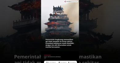 Triste nouvelle en provenance du sud de la Chine