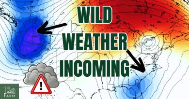 Trois tempêtes en un week-end : bouleversements météo aux USA !