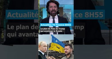 Ukraine en difficulté dans le plan de paix avec la Russie