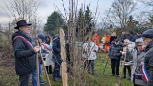 illustration agrandir l