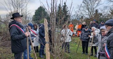 illustration agrandir l