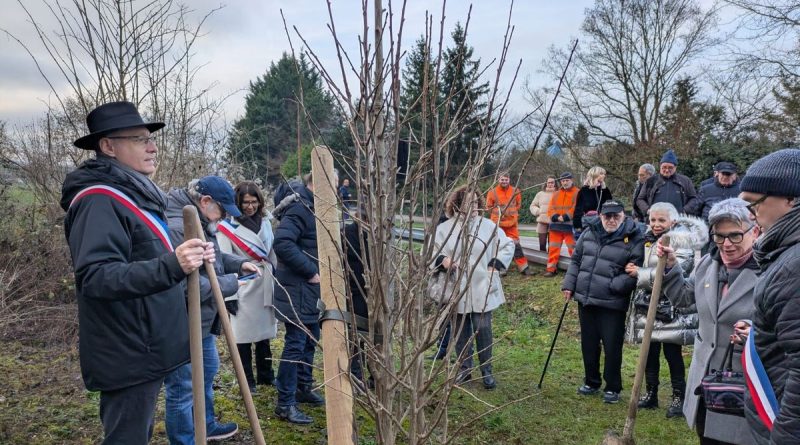 illustration agrandir l