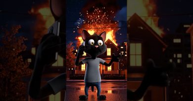 Un chat seul à la maison met le feu en jouant ! 🔥🐱