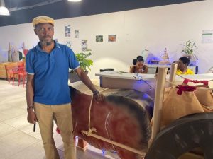 Un défilé tout en couleurs pour célébrer Noël au centre social Lapwent