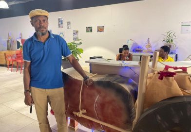 Un défilé tout en couleurs pour célébrer Noël au centre social Lapwent