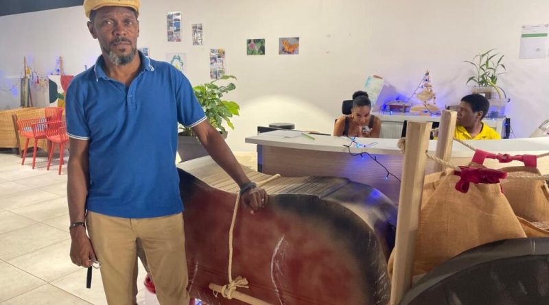 Un défilé tout en couleurs pour célébrer Noël au centre social Lapwent