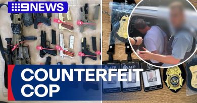 Un homme arrêté avec des répliques d'armes, soupçonné d'usurpation