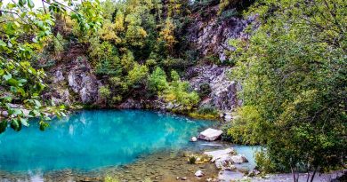 Pays de la Loire, Nantes, Angers, Loire river, castle, vineyard, coast, landscape