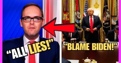 Un panel de CNN démolit le MAGA avec des faits sur Trump !