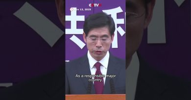 Un porte-parole défend les contrôles d'exportation des terres rares en Chine