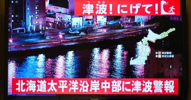 Un séisme de 7,5 suivi d'un tsunami font au moins 30 blessés au Japon
