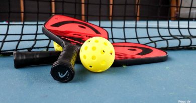 Un sport encore peu connu arrive en janvier 2026 dans cette ville de Seine-et-Marne