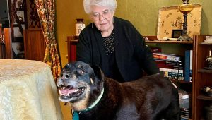 Une belle histoire de Noël chez nos voisins du Périgord : le plus ancien chien de la SPA de Bergerac a été enfin adopté - ICI