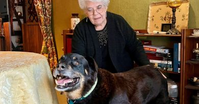 Une belle histoire de Noël chez nos voisins du Périgord : le plus ancien chien de la SPA de Bergerac a été enfin adopté - ICI