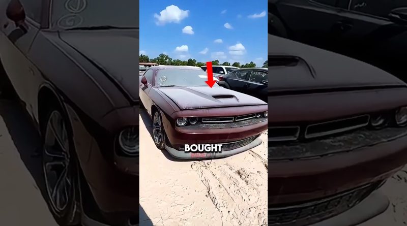 Une bonne affaire : un Dodge Challenger aux enchères, mais attention !