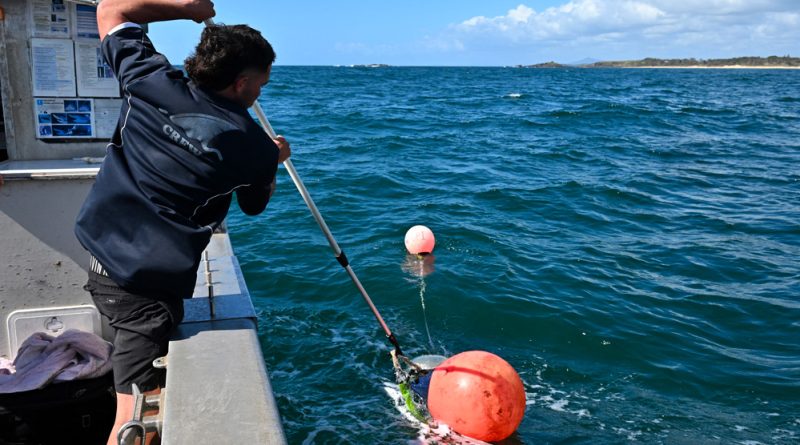 Crédit Saeed KHAN / AFP