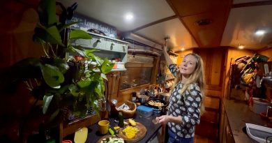 Une femme et son chien se réfugient d'une tempête en péniche