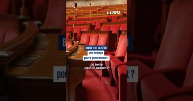 Une semaine décisive pour le gouvernement en péril