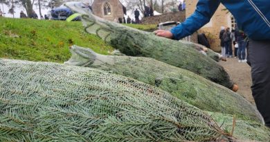 illustration agrandir l