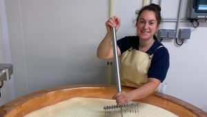 Une vision solaire et connectée du monde paysan : rencontre avec Lucie Oger, productrice de fromages aux Hermites - ICI