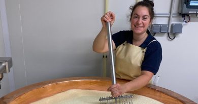 Une vision solaire et connectée du monde paysan : rencontre avec Lucie Oger, productrice de fromages aux Hermites - ICI