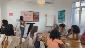 VIDEOS. "Colab FWI", l'incubateur d'entreprises au féminin en Martinique