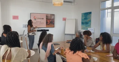 Martinique : l’incubateur Colab FWI aide déjà 90 femmes à créer leur entreprise et à surmonter l’isolement VIDEOS. "Colab FWI", l'incubateur d'entreprises au féminin en Martinique