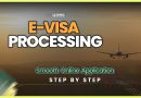 VISAThing : Demande d'E-Visa Simplifiée avec Suivi en Temps Réel