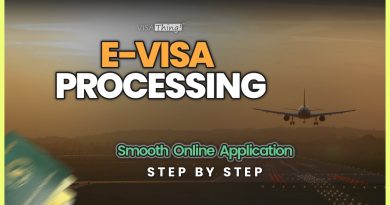 VISAThing : Demande d'E-Visa Simplifiée avec Suivi en Temps Réel