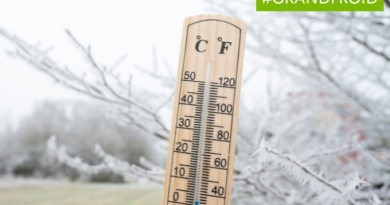 Vague de froid en Île-de-France : conseils pratiques pour se protéger efficacement