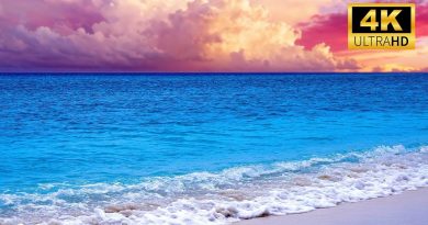 🌊 Vagues de l'Océan : 12h de Détente en 4K pour Yoga et Lecture