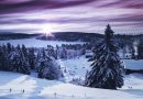 Vent d'Hiver dans les Montagnes : 1 Heure d'Ambiance Apaisante
