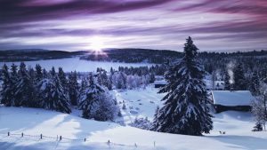 Vent d'Hiver dans les Montagnes : 1 Heure d'Ambiance Apaisante