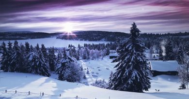 Vent d'Hiver dans les Montagnes : 1 Heure d'Ambiance Apaisante