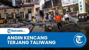 Vents violents à Taliwang : maisons endommagées, arbres tombés