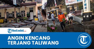 Vents violents à Taliwang : maisons endommagées, arbres tombés