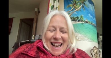 Vérification : Contenu Adversarial au Lieu de l'Exactitude