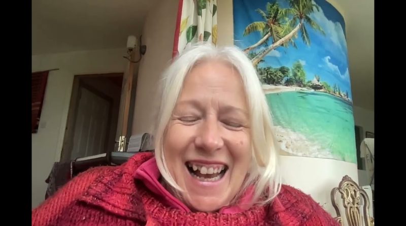 Vérification : Contenu Adversarial au Lieu de l'Exactitude