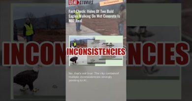 Vérification : La vidéo de deux aigles chauves est fausse
