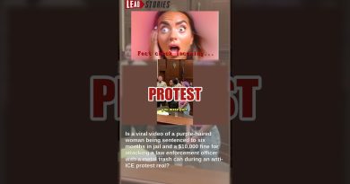 Vérité : Faux procès d'un manifestant anti-ICE condamné