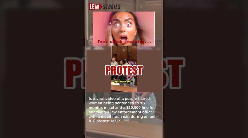 Vérité : Faux procès d'un manifestant anti-ICE condamné