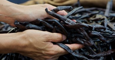 Vers une Indication Géographique Protégée pour la vanille de Tahiti