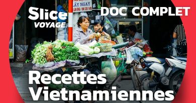 Vietnam : Soupe et Rouleaux Vietnamiens - Recettes Incontournables
