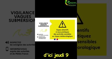 ⚠️ Vigilance Jaune : Mer agitée sur le littoral guyanais !
