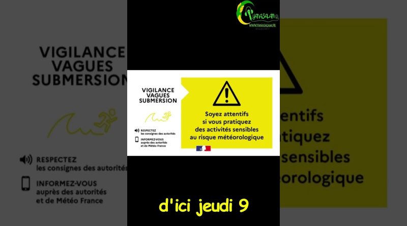 ⚠️ Vigilance Jaune : Mer agitée sur le littoral guyanais !