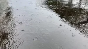 Vigilance jaune : fortes pluies en Est et vents violents en Sud jusqu'à 12h